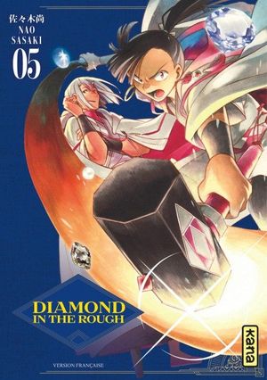 Diamond in the Rough, tome 5