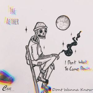 Don’t Wanna Know (Single)