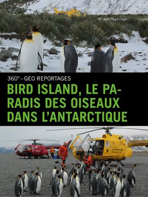 Bird Island, le paradis des oiseaux dans l'Antarctique