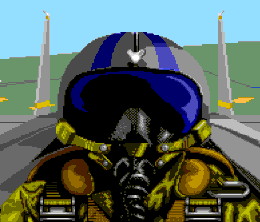 image-https://media.senscritique.com/media/000021144568/0/f_15_strike_eagle_ii.gif