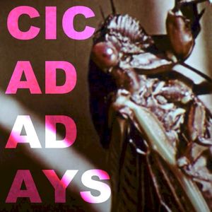 Cicada Days (Single)