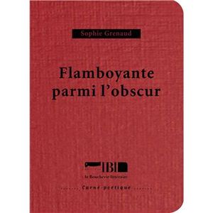 Flamboyante parmi l'obscur