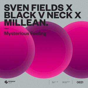 Mysterious Feeling (Single)