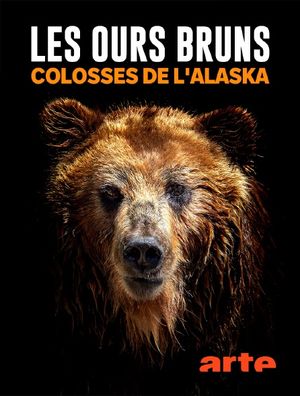 Les ours bruns, colosses de l'Alaska