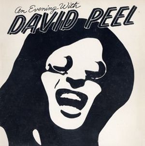An Evening With David Peel (Live)