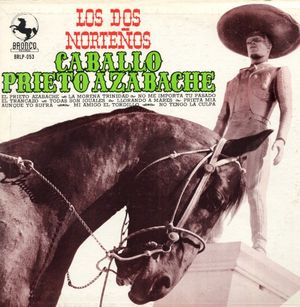 Mi amigo el tordillo