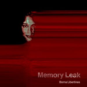 Memory Leak