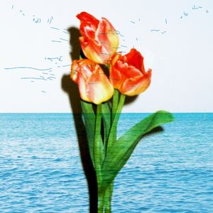 About Summer (Single)