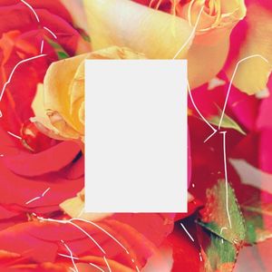Sun Cadence (EP)