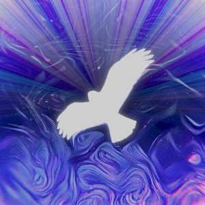 hawk (EP)
