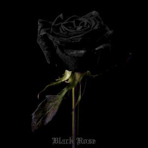 Black Rose (Single)