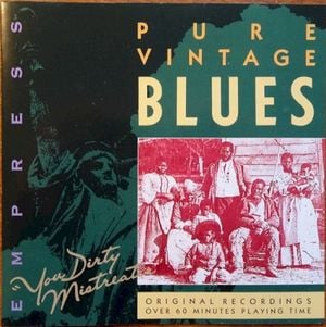 Pure Vintage Blues: You Dirty Mistreater