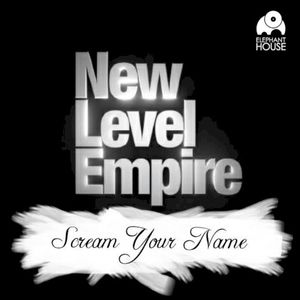 Scream Your Name (alternate version) (Single)