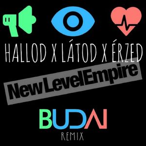 Hallod látod érzed (Budai remix)