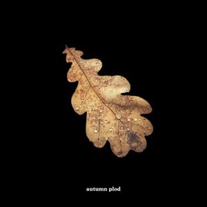 autumn plod (Single)