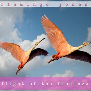 Flight of the Flamingo (EP)