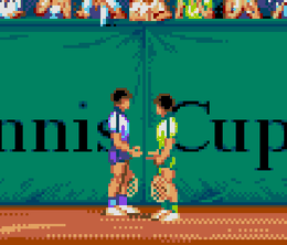 image-https://media.senscritique.com/media/000021160668/0/tennis_cup_2.png