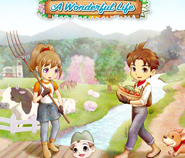 image-https://media.senscritique.com/media/000021160726/0/story_of_seasons_a_wonderful_life.png