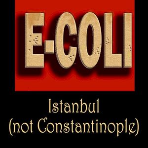 Istanbul (not Constantinople) (Single)