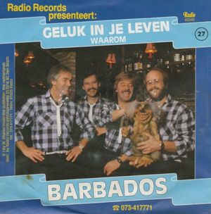 Geluk in je leven / Waarom (Single)