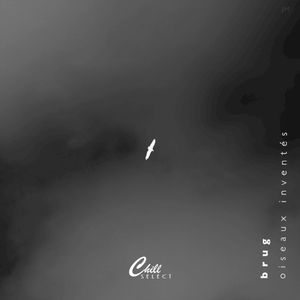 oiseaux inventés (Single)