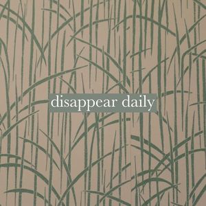 Disappear Daily (Single)