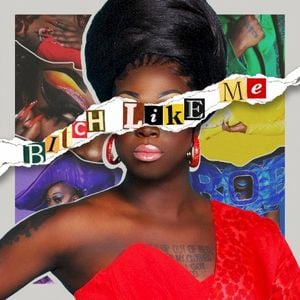 Bitch Like Me (Single)