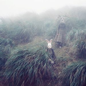 The Rabbit Sleeps