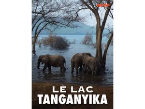 Le lac Tanganyika, la source de vie de l'Afrique