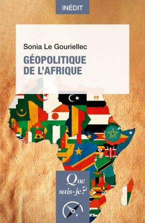 Géopolitique de l'Afrique