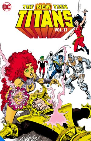 The New Teen Titans Vol.13