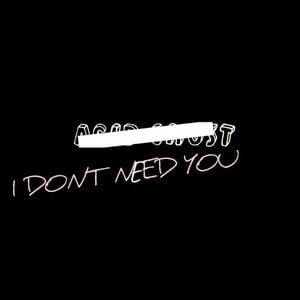 I Don't Need You (Single)