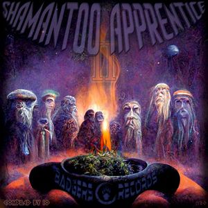 Shamantoo Apprentice 2