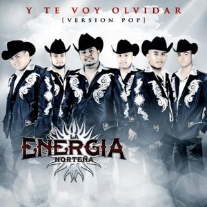 Y Te Voy Olvidar ( (Version Pop) (Single)