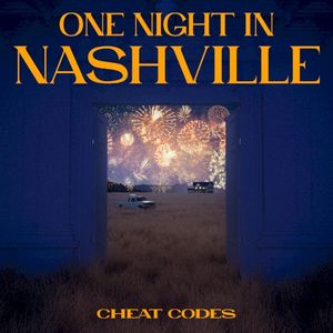 One Night in Nashville