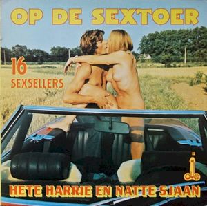 Op de sextoer: 16 sexsellers