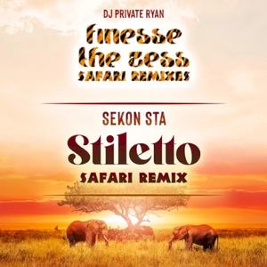 Stiletto (Safari Remix) (Single)