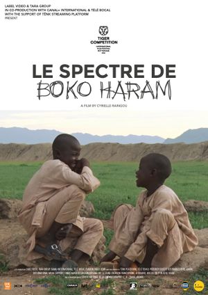 Le spectre de Boko Haram