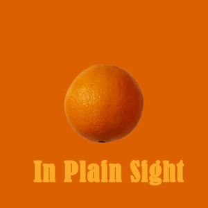 In Plain Sight