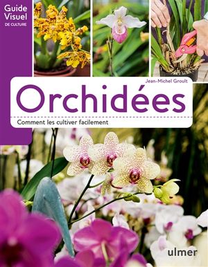 Orchidées : comment les cultiver facilement
