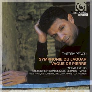 Symphonie Du Jaguar / Vague De Pierre