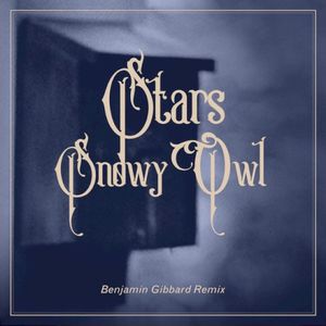 Snowy Owl (Benjamin Gibbard remix)