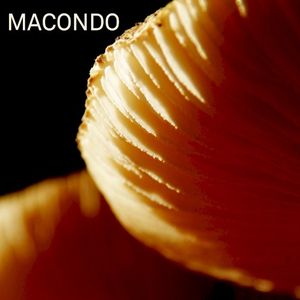 Macondo (EP)