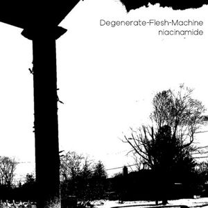 The Splitsville Project VIII. Degenerate-Flesh-Machine / Niacinamide.