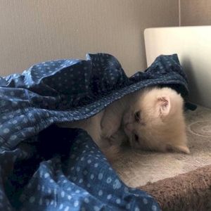 stay alone (Single)