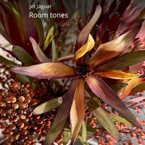 Room Tones