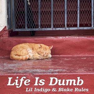 Life Is Dumb (Single)