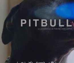 image-https://media.senscritique.com/media/000021177597/0/pitbull.jpg