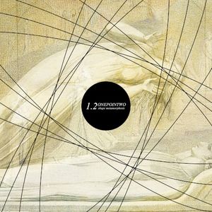 Shape Metamorphosis
