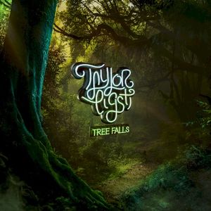 Tree Falls